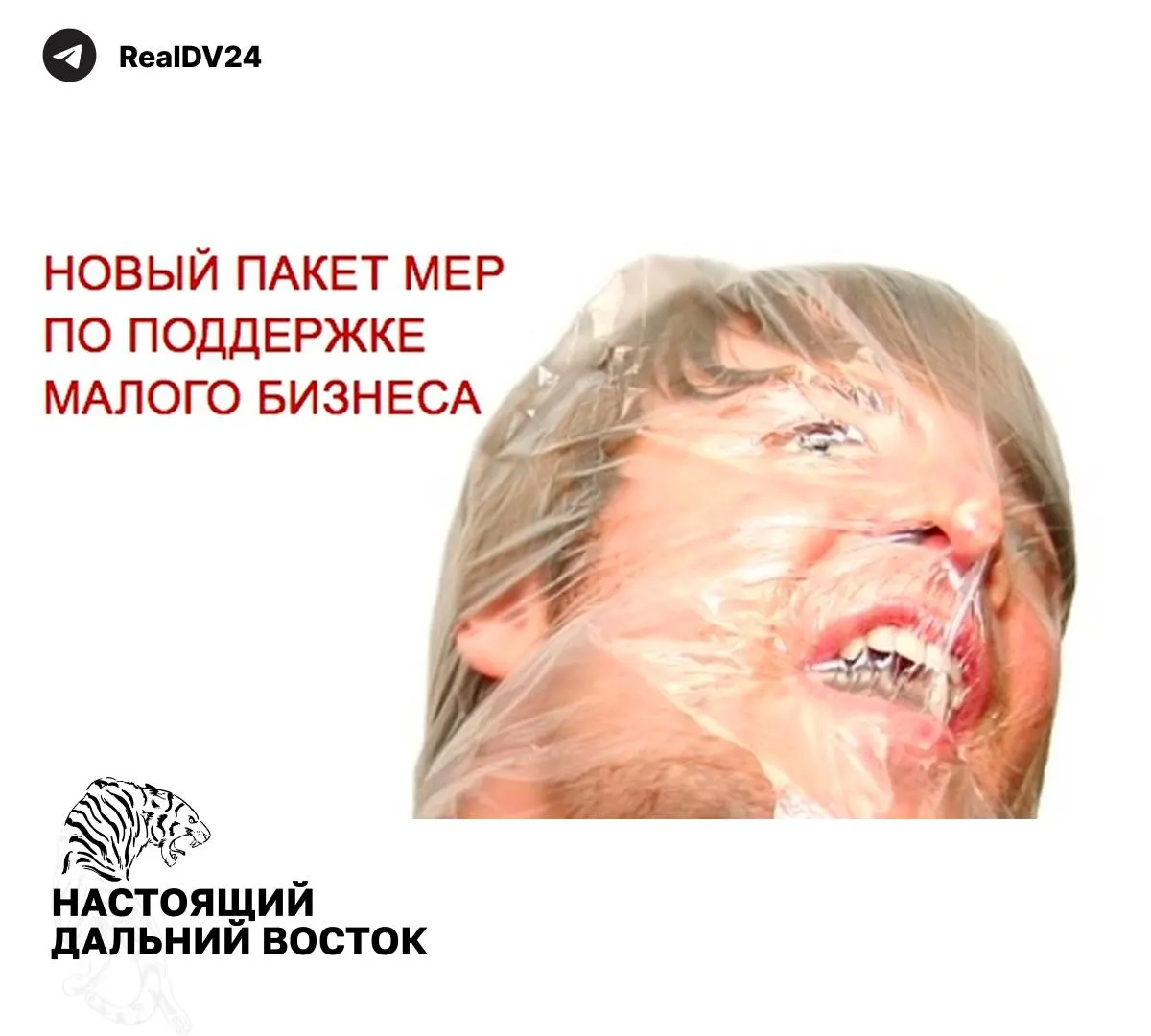Федеральная налоговая служба предложила регионам комплекс мер для увеличения налоговых поступлений: расширение базы по кадастровой стоимости, повышение транспортного и земельного налогов, пересмотр льгот и усиление контроля за использованием земель.