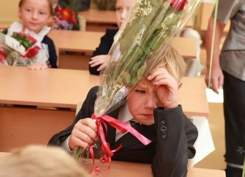 Заместитель главы Минпросвещения сообщил, что 11-летняя школа признана оптимальной; ни о сокращении, ни о увеличении сроков сейчас не говорят, все дальнейшие стандарты будут разрабатываться с расчётом на 11 классов.