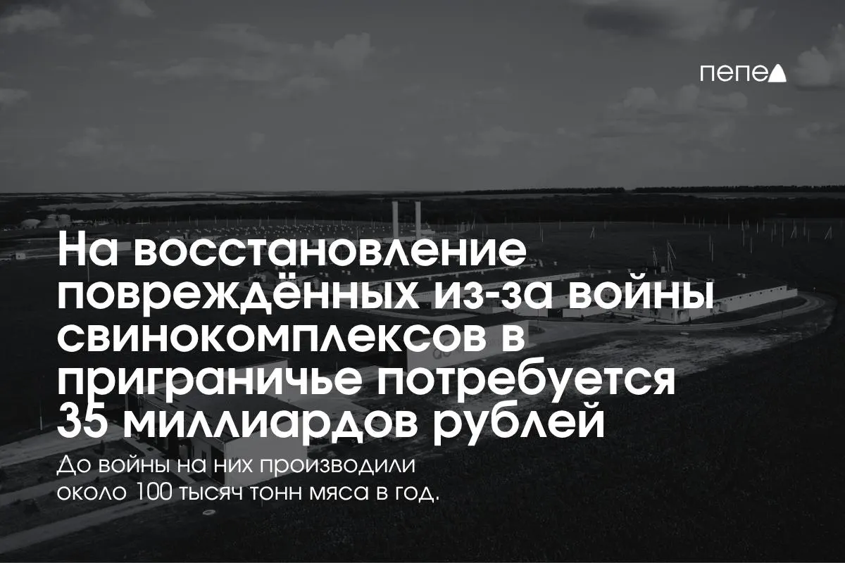 По данным руководителя исполнительного комитета Национальной мясной ассоциации, восстановление свинокомплексов требует значительных затрат, приграничье сталкивается с проблемами безопасности и логистики, часть предприятий была вынуждена остановить производство.