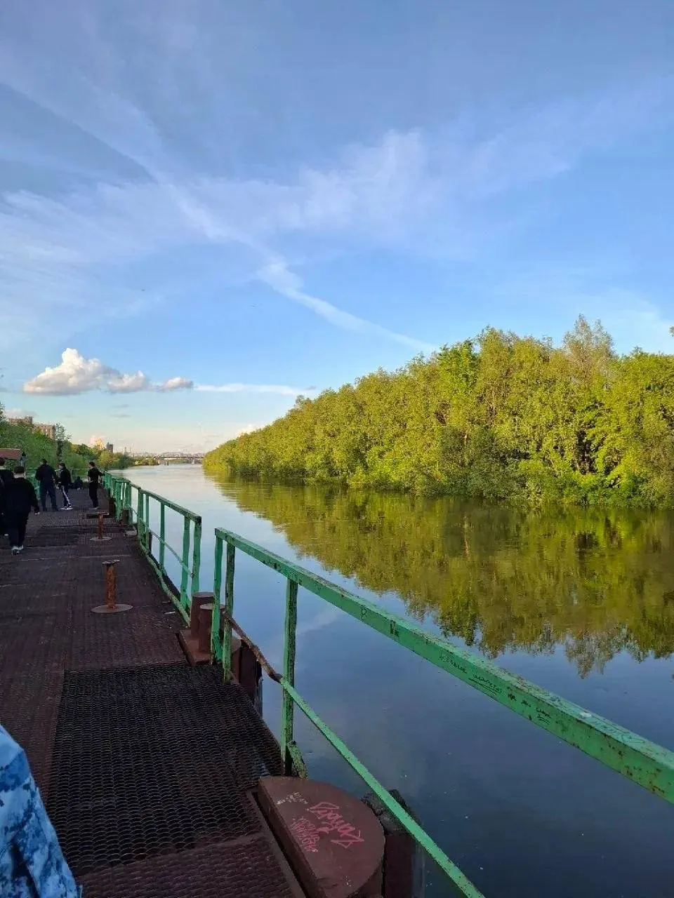 Расследование передачи другому следователю, мать признали официально потерпевшей; тело мальчика нашли 24 мая.