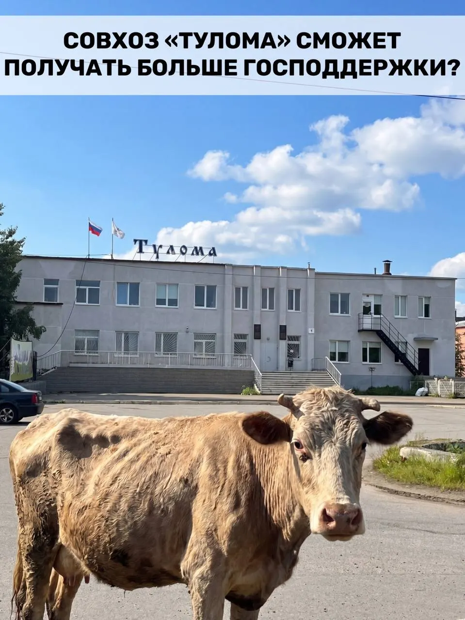 Федеральную поддержку теперь смогут получать хозяйства с долей государства или муниципалитета свыше 25%. Для Мурманской области это важно из‑за высокой доли таких предприятий, но некоторые хозяйства опасаются, что помощь может не успеть.