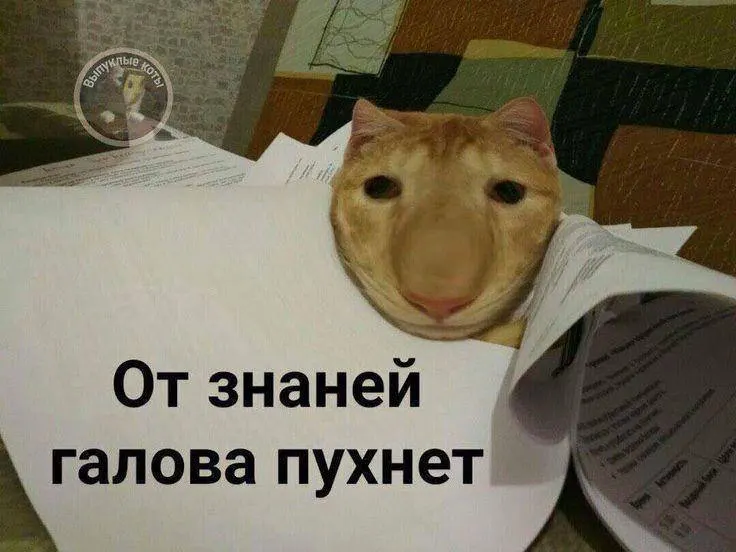 Минспорт планирует ввести тестовый норматив по управлению небольшим дроном в рамках ГТО; со следующего года по нему можно будет получить знак и до 10 баллов к результатам экзамена.