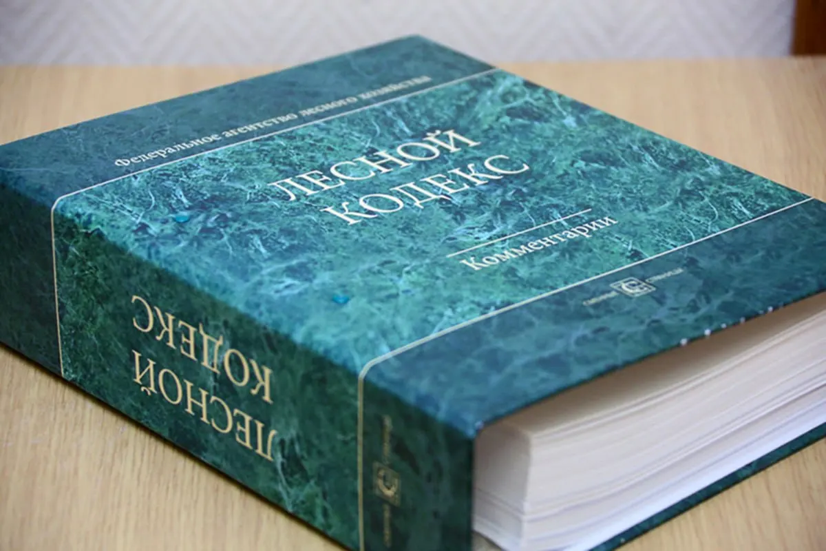 Эксперт по лесному хозяйству предупреждает, что многочисленные поправки сделали кодекс неактуальным; он предлагает упростить и полностью заменить нормативный акт.
