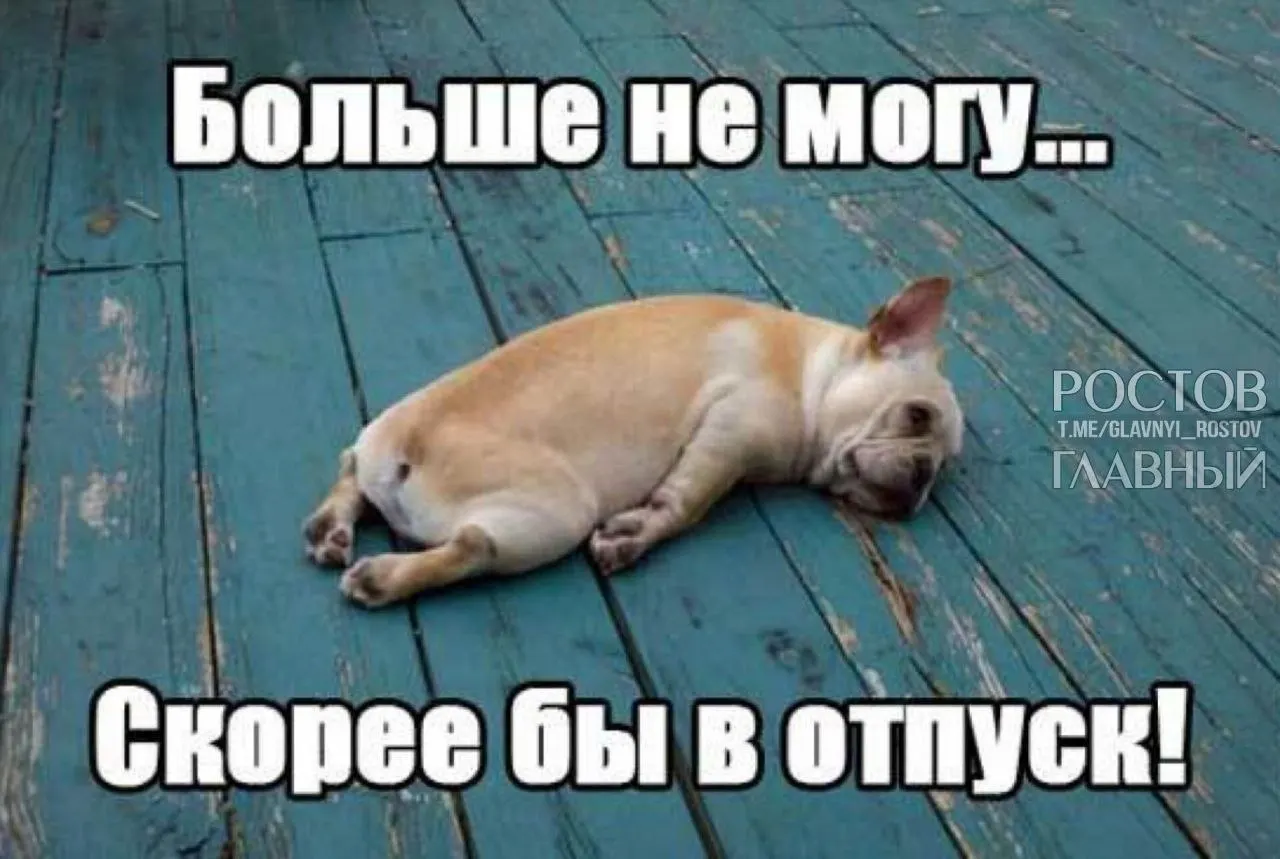Депутаты предлагают поднять минимальную продолжительность отпуска с 28 до 35 дней, чтобы компенсировать выходные, включённые в отпуск, и снизить риск профессионального выгорания.