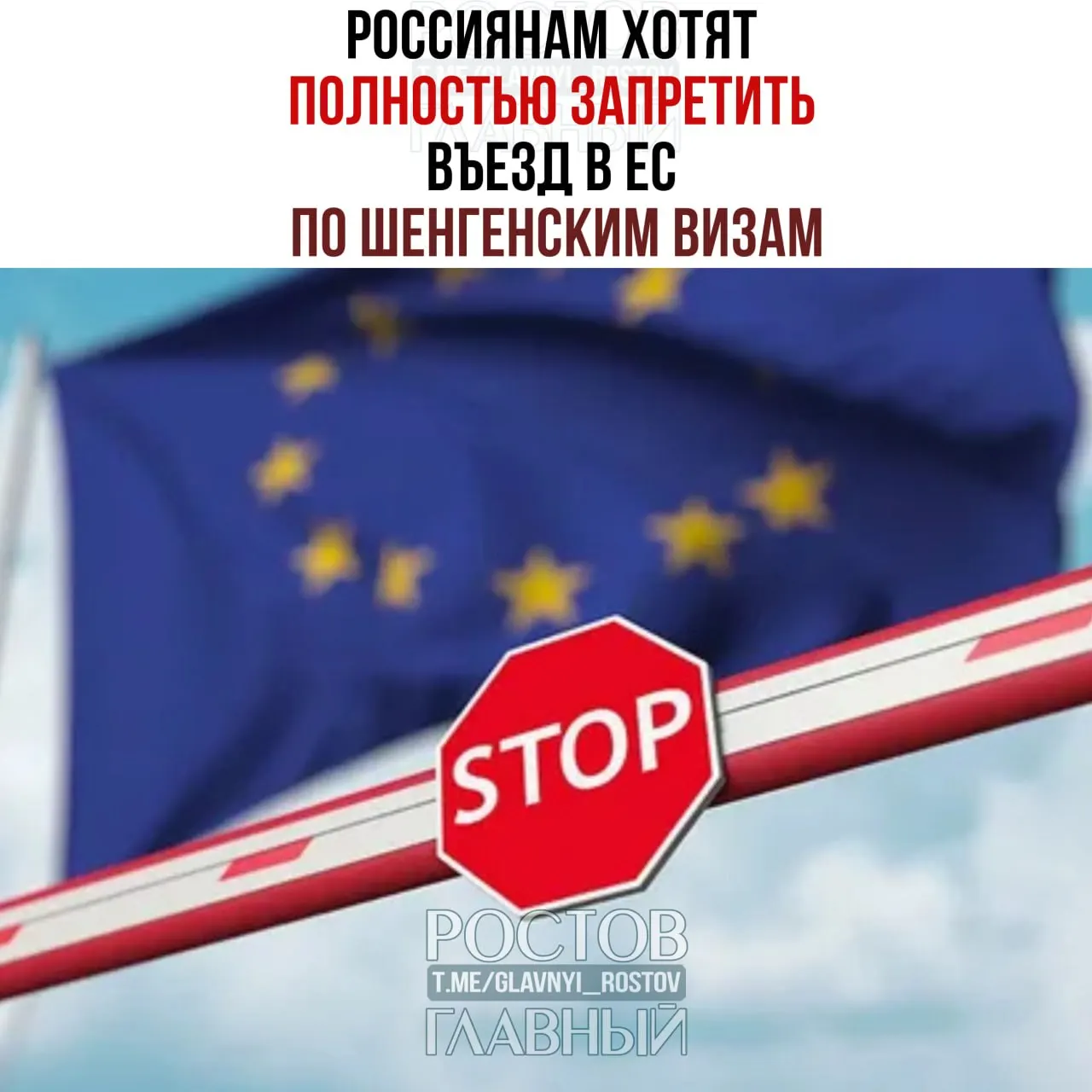 В Германии запустили кампанию за полный запрет въезда граждан России по шенгенским визам; инициатива вызвала обсуждение последствий для политики и прав людей.