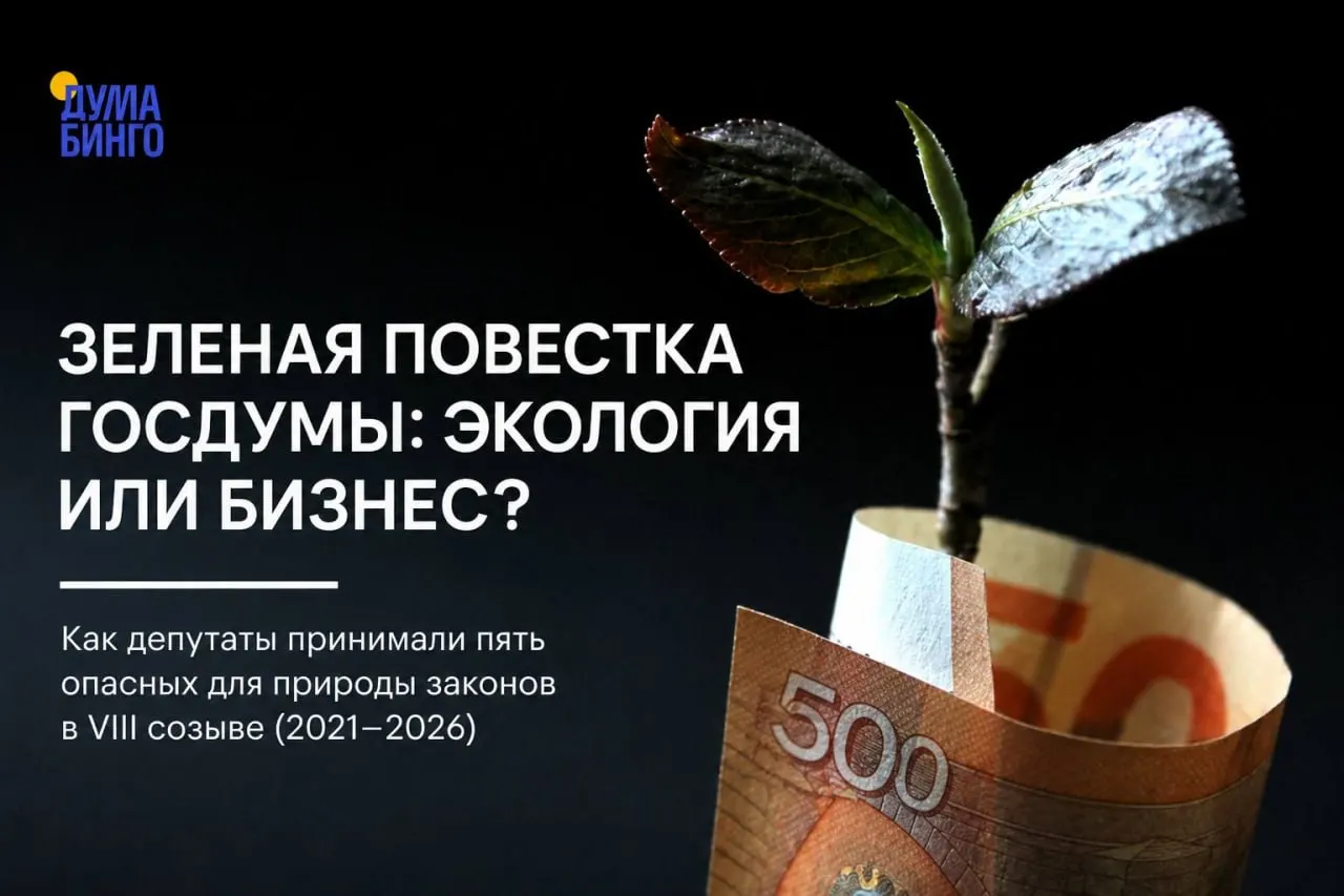 За последние годы в парламенте прошли инициативы, ограничивающие общественный контроль, меняющие статус охраняемых территорий и расширяющие полномочия на добычу редких видов — при этом ключевую роль в голосованиях сыграла фракция «Единая Россия».