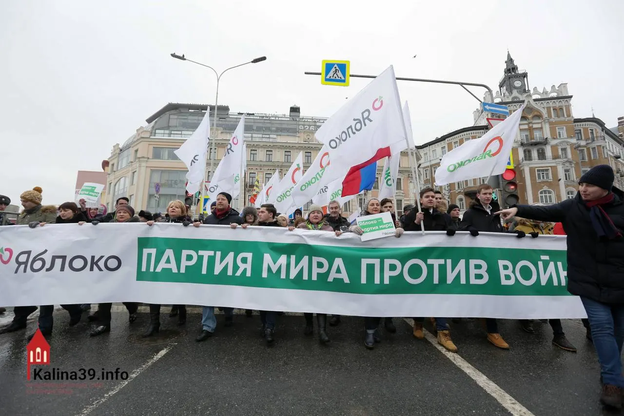 Эксперты считают, что допуск партии может служить каналом для безопасного выражения протестных настроений — при этом многие её лидеры лишены возможности участвовать в выборах.