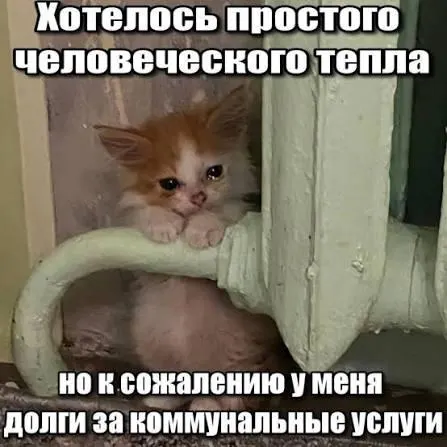 Суд подтвердил, что по истечении трёхлетнего срока исковой давности принудительное взыскание долгов за капремонт через платёжки невозможно; это решение защитит покупателей вторичного жилья и наследников.