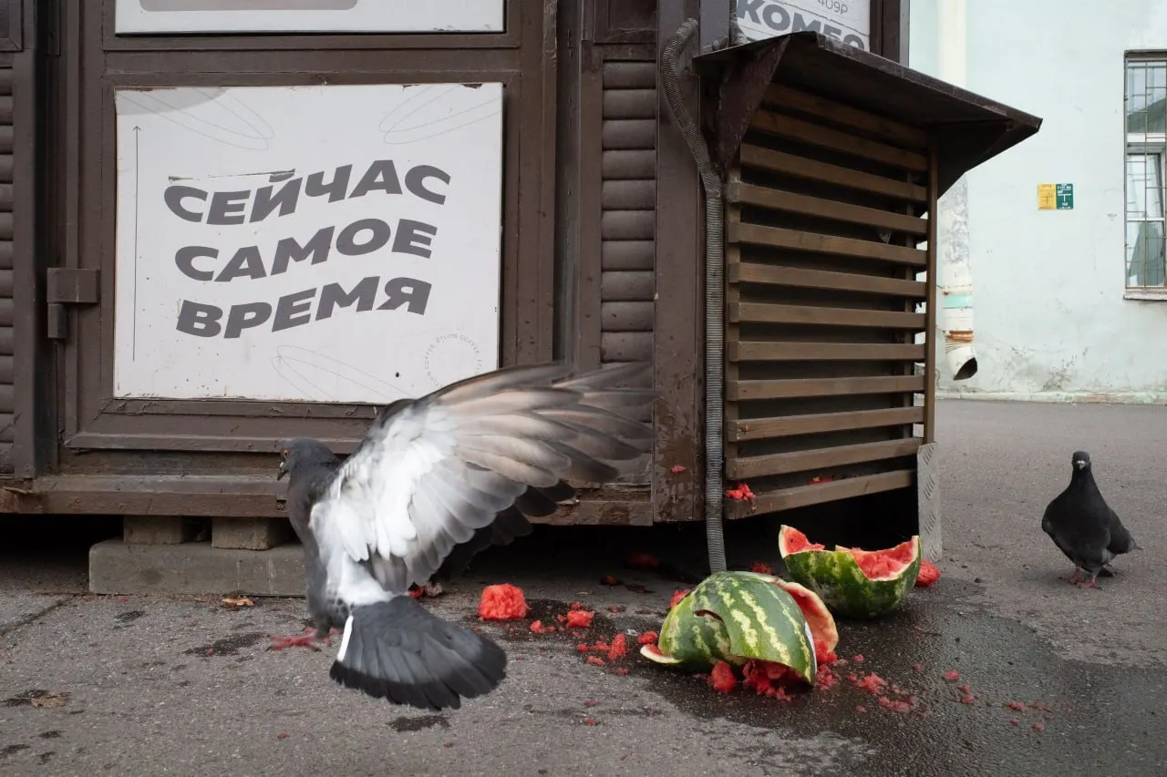 В Петербурге и Ленобласти развернулись штрафы за антивоенные заявления и памятные церемонии, в России и мире происходят политические события и кадровые изменения.
