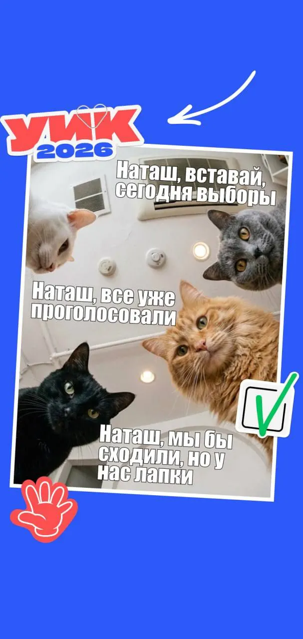 Кратко о датах, кто имеет право голосовать и какие документы брать с собой. А также подборка мемов для настроения перед выборами.
