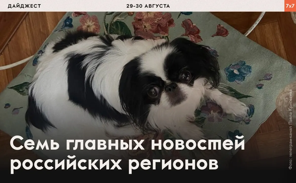 Сводка по регионам: принуждение политзаключенного к бегу, проверки маникюрщиц, запреты на агитацию и давление на активистов в разных субъектах России.