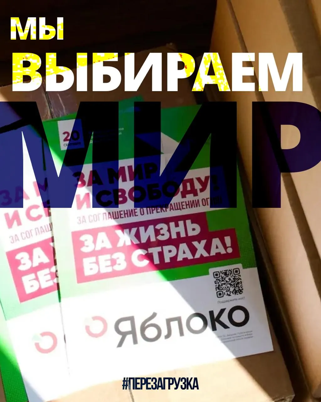 В 53 регионах идёт кампания 135 кандидатов от «Яблока»; на карте регионов можно найти свой регион и увидеть политиков «за мир и свободу».