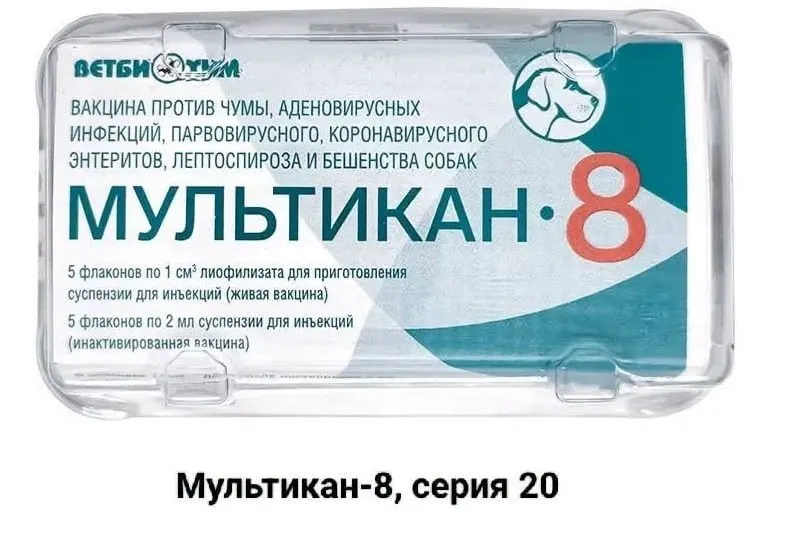 Владельцы требуют расследования после гибели приблизительно около ста собак после прививки Мультикан-8; случаи зафиксированы в нескольких регионах; рассматриваются версии нарушения технологии и возможного загрязнения вакцины; начаты проверки.