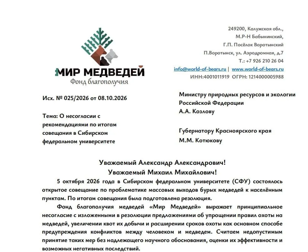 Краевой фонд защиты медведей обратился к губернатору Красноярского края и руководителю Минприроды России с призывом не поддерживать предложения, озвученные на совещании в СФУ, и предложить альтернативы.